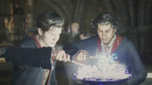 Choose Your Wand and Hous…