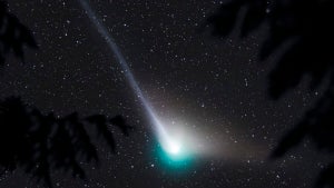 Do you want to see the gr…