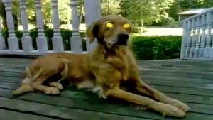 From Books to TV to Books…