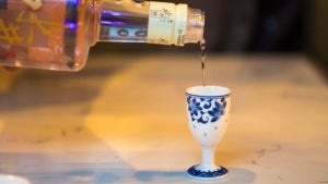 Tragic Live Streaming Inc…