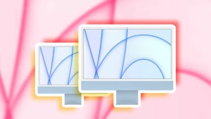 Insider Insights: Unveili…