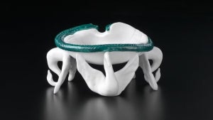 A Surreal Exchange: Salva…