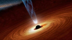 Image of article: Scientific Marvel: Black …