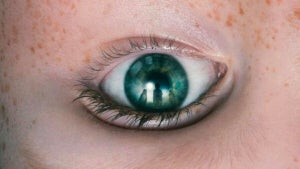 Image of article: This horror movie comes f…