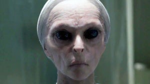 It is one of the most imp…