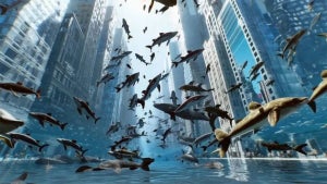 Will Sora, the new AI fro…