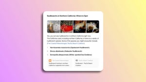 Image of article: With SearchGPT, OpenAI ta…