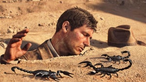 It is confirmed what we a…