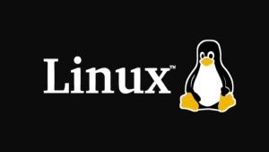 Image of article: Linux Terminal on Android…