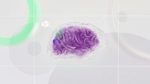 Image of article: You’re training AI with y…