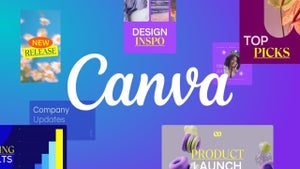 Image of article: What you can do in Canva …