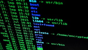 Image of article: This AI chatbot is number…