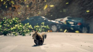 Image of article: James Gunn defends the mo…