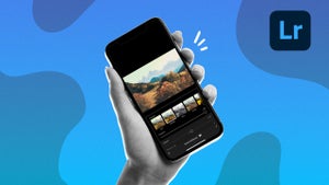Image of article: One-Touch Landscapes: Enh…