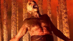 28 years later: The Bone …