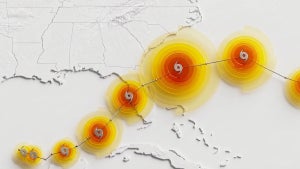 Image of article: Google releases WeatherNe…