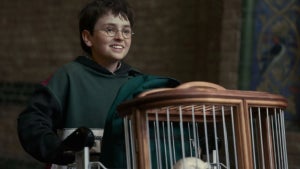 Image of article: The new ‘Harry Potter’ al…