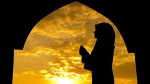 Image de l’article : Les meilleurs sites et ap…