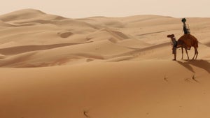 Voyagez dans le désert ar…