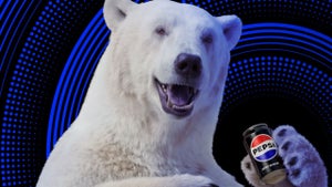Pepsi a volé les ours pol…