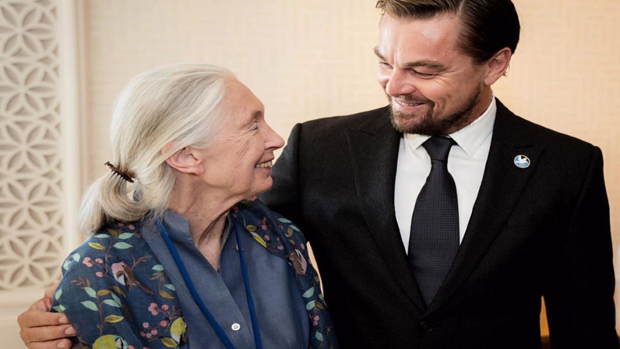 Leonardo DiCaprio rinde un sentido homenaje a Jane Goodall, la recientemente fallecida primatóloga