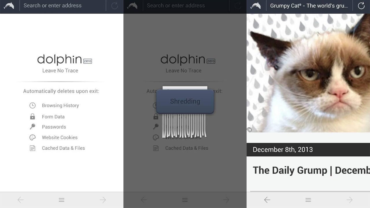 Dolphin Zero lets you privately browse the web