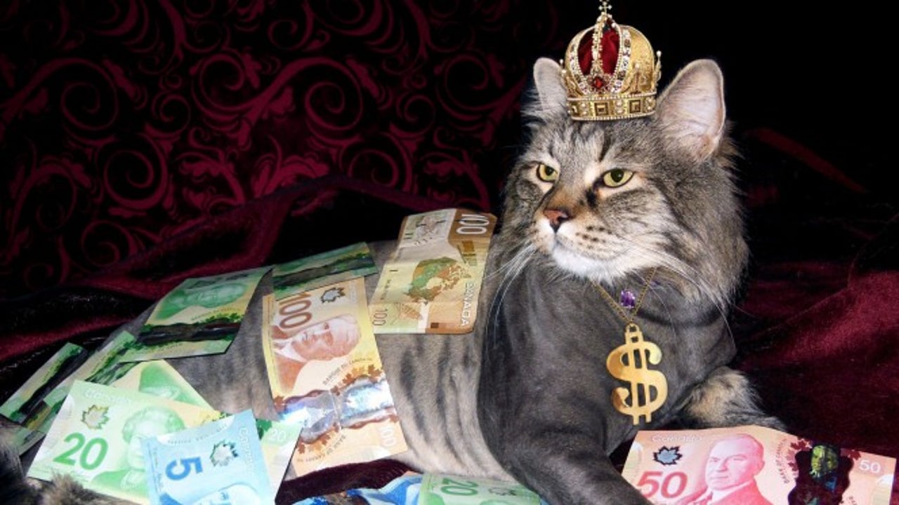 How much do Apple, Microsoft, Google or Amazon make every second?