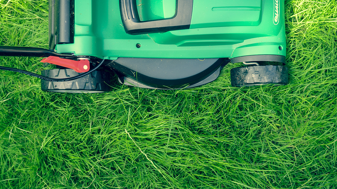 4 of the best gadgets for your garden