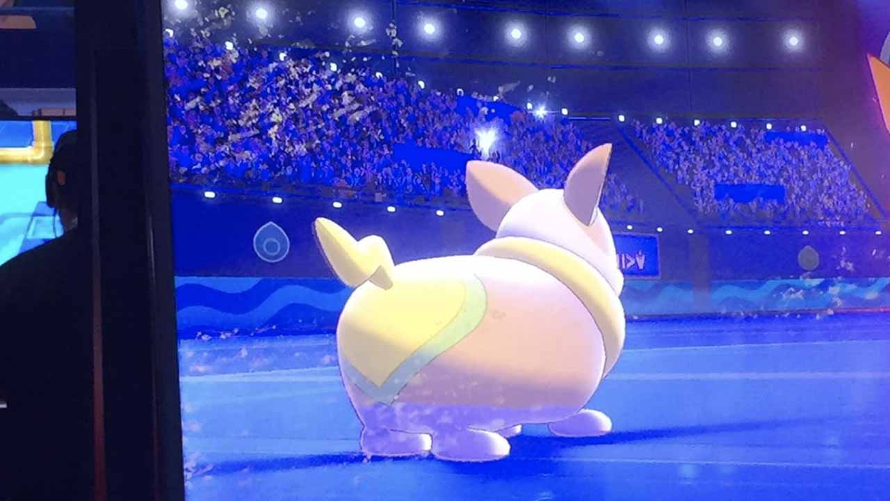 New Pokémon, limited Pokédex leaked at Nintendo Treehouse