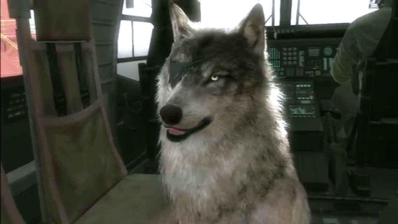 10 coolest dogs in video games