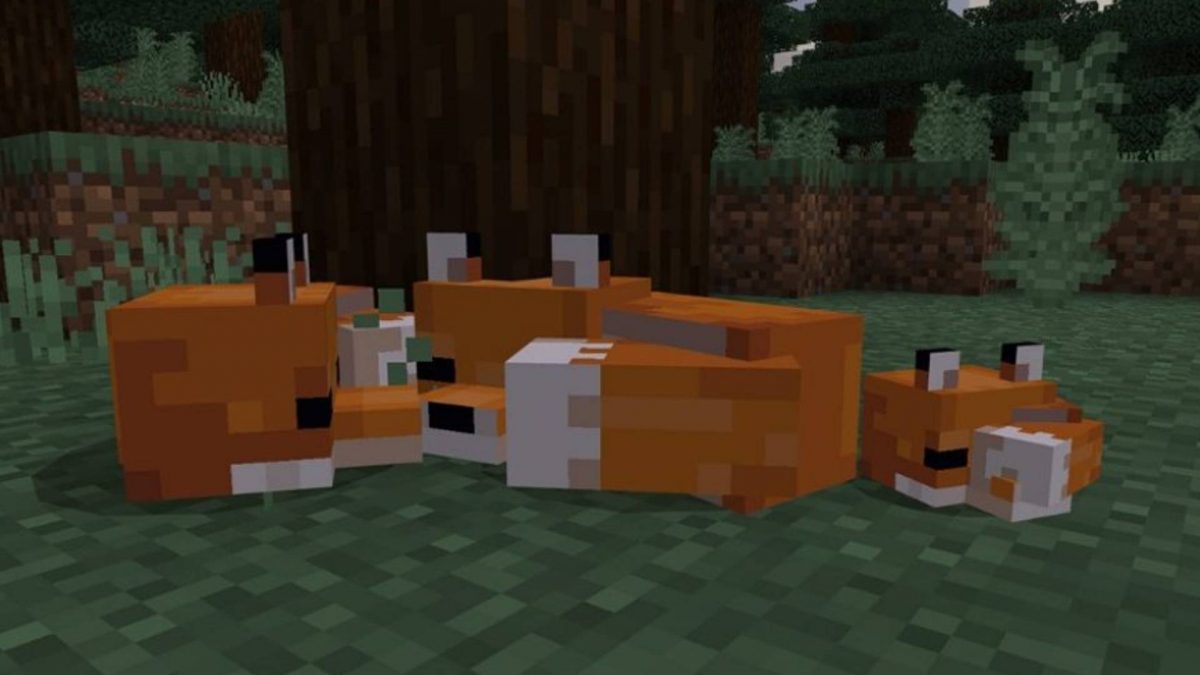 How to Tame a Fox in Minecraft in 4 steps