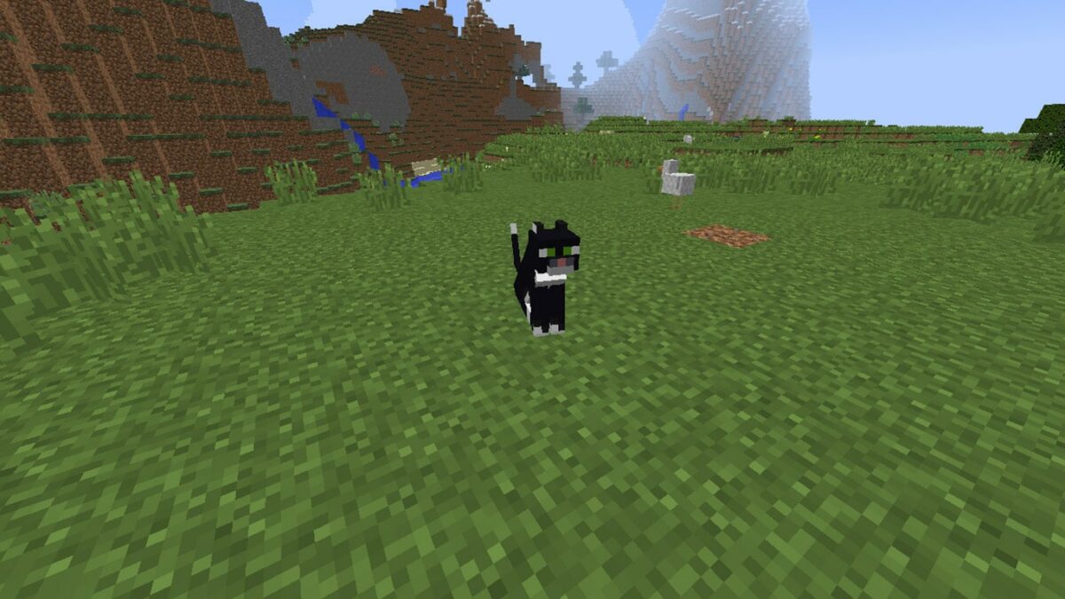How to Tame a Cat In Minecraft in 3 Easy Steps