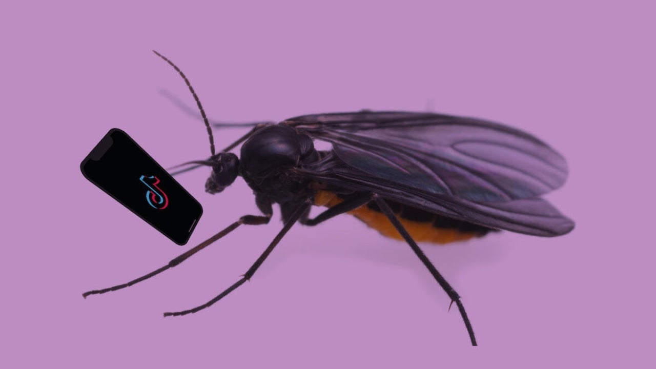 TikTok is changing phone behavior and affecting attention spans