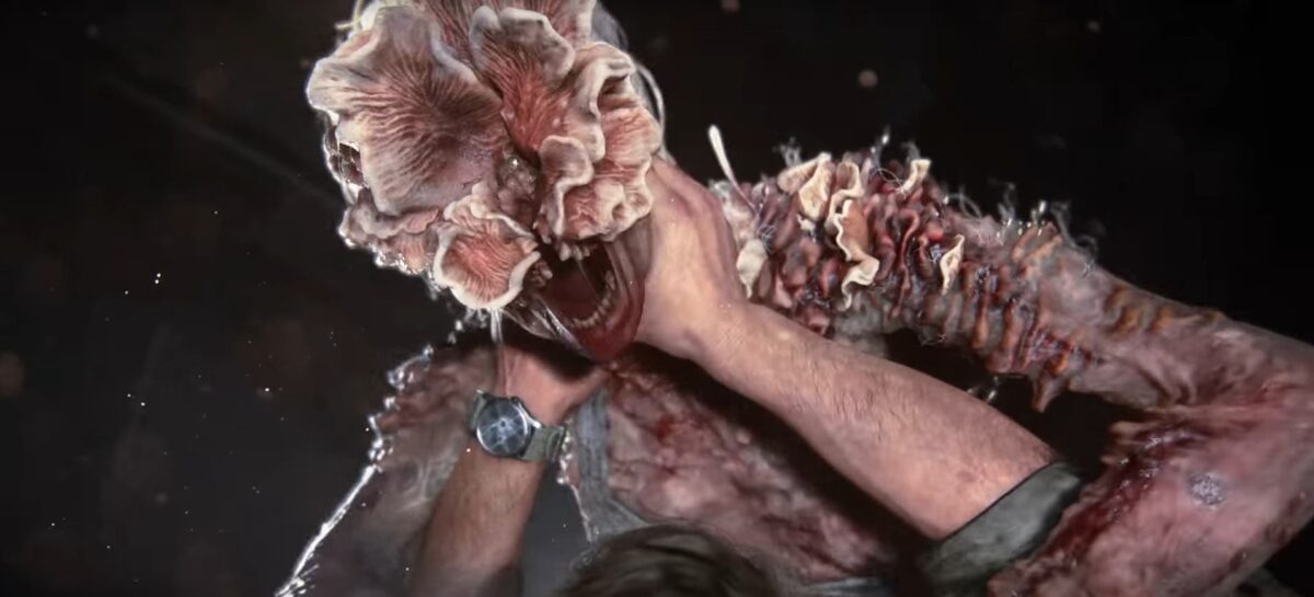Is the Cordyceps Mushroom From The Last of Us Video Game Dangerous in the Real World?