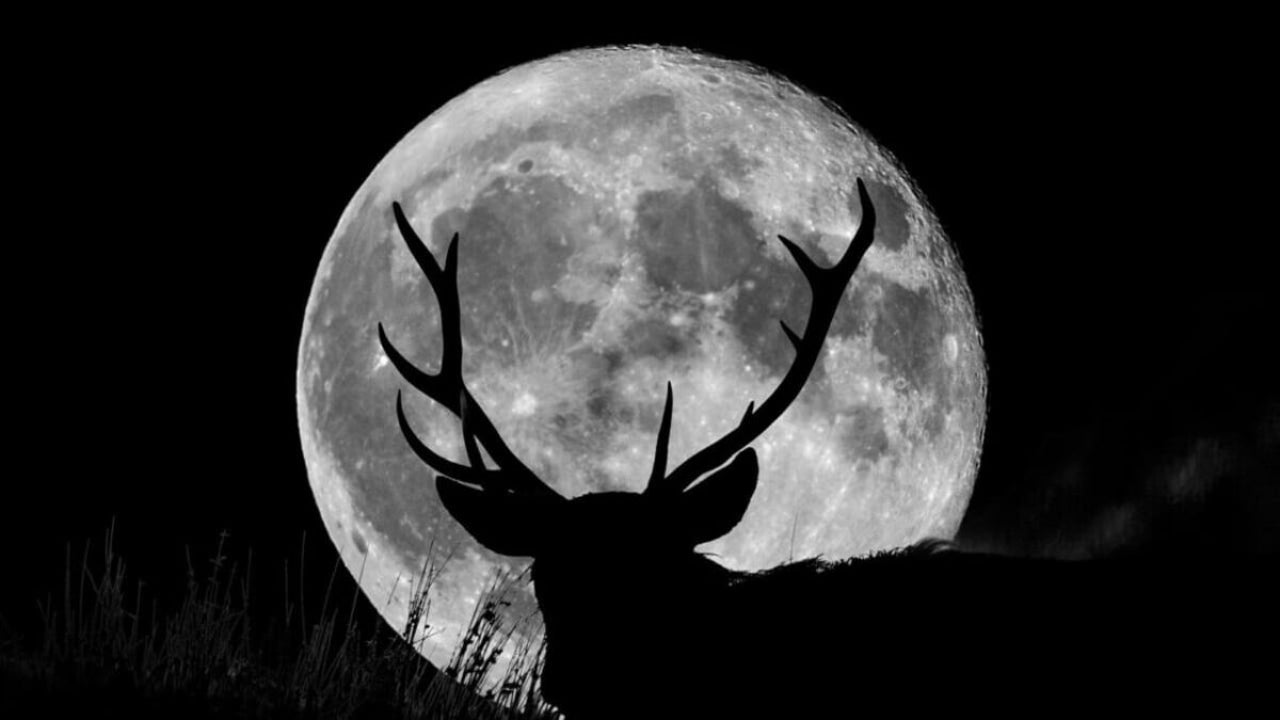 Lunar Lovers Rejoice: 2023’s First Supermoon to Showcase Moon’s Closest Encounter with Earth