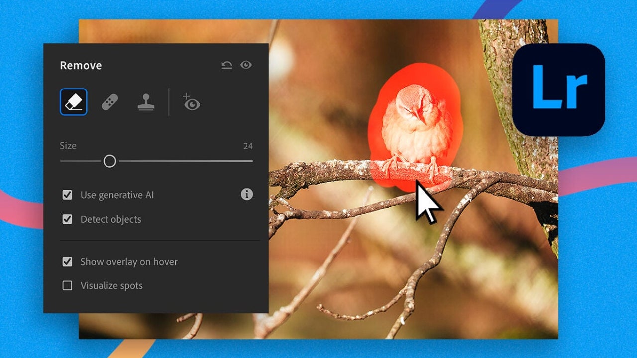 Generative Removal: Effortlessly remove unwanted elements in Adobe Lightroom