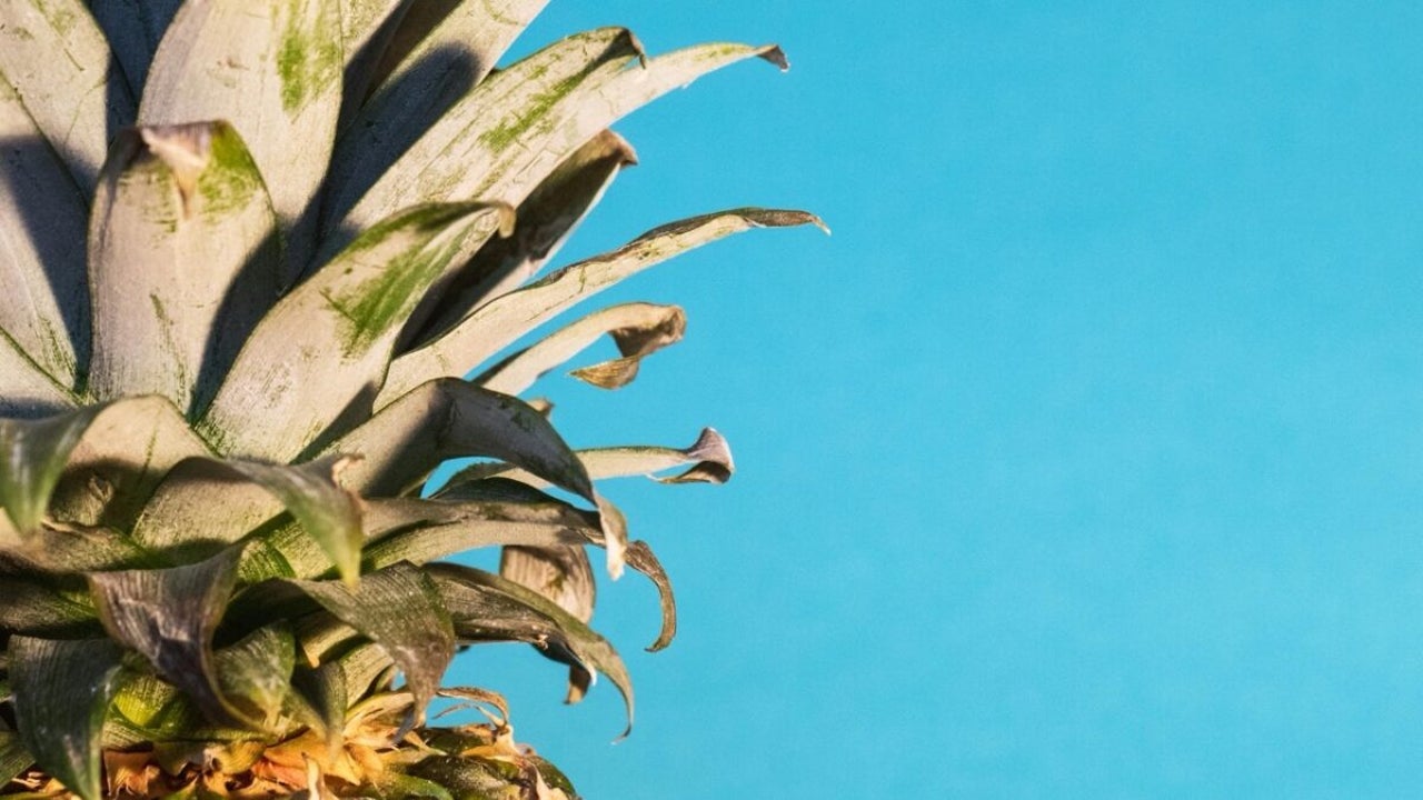 Wi-Fi Pineapple: What it is and how to protect yourself from cyberattacks