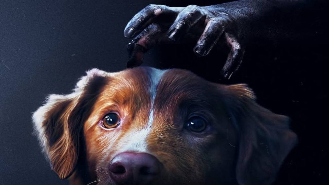 This horror movie follows the perspective of a little dog, it hasn't ...
