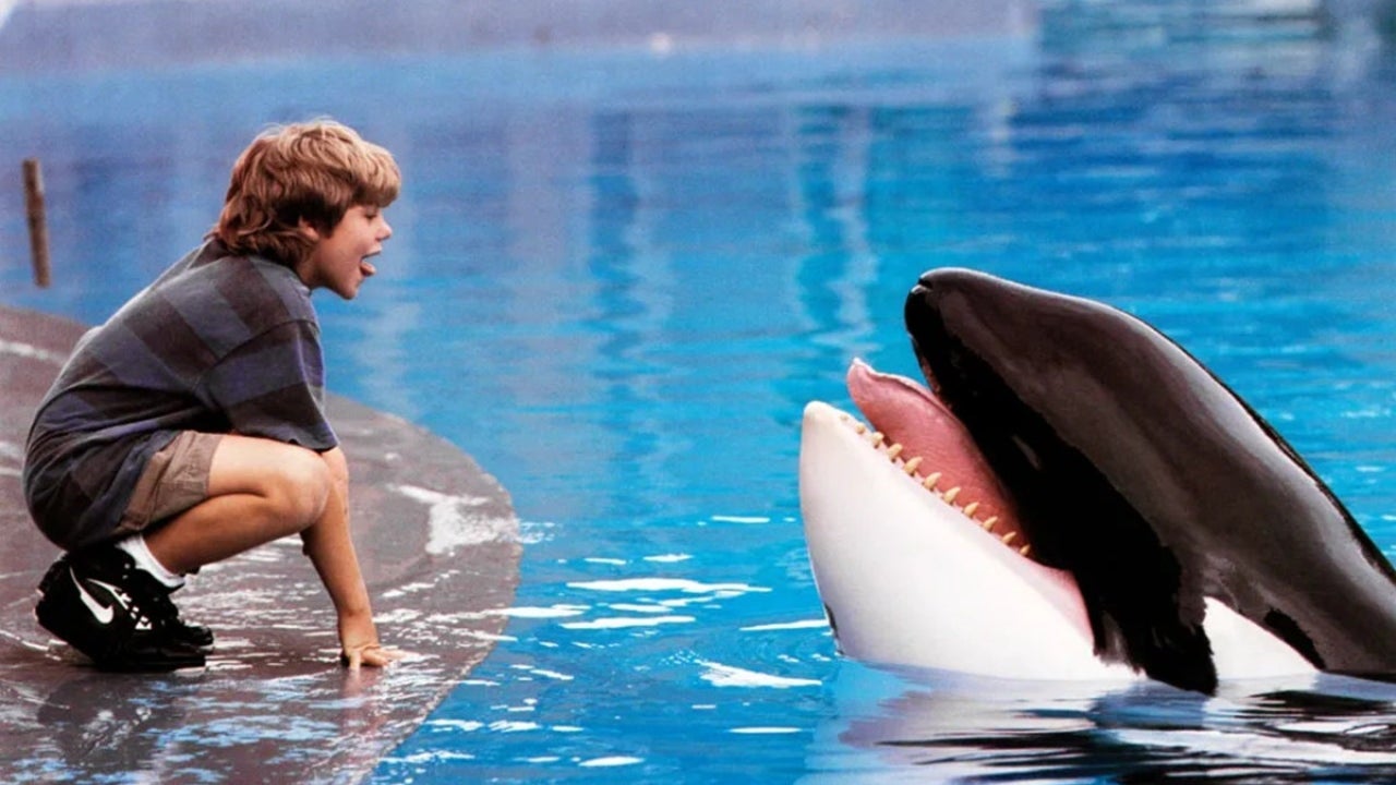 The Russo brothers will make the remake of the movie about the most famous killer whale in film