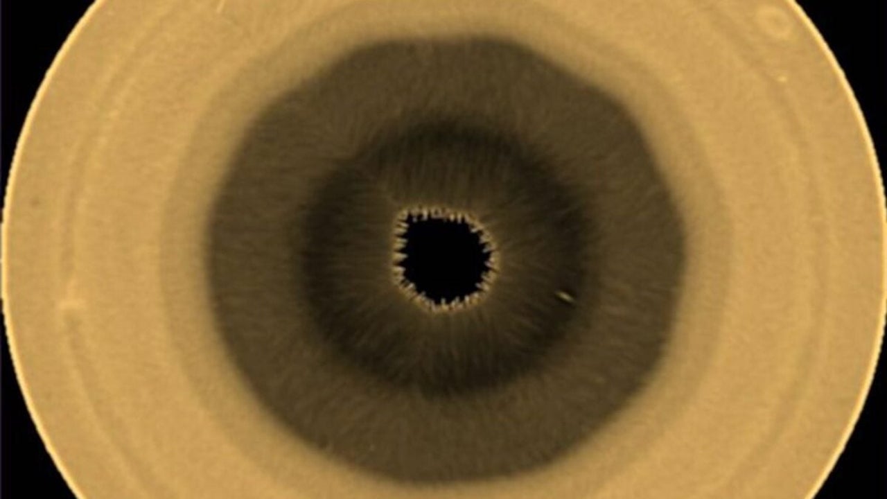 Saturn now has a 10-sided storm: Hubble spots a rare decagon