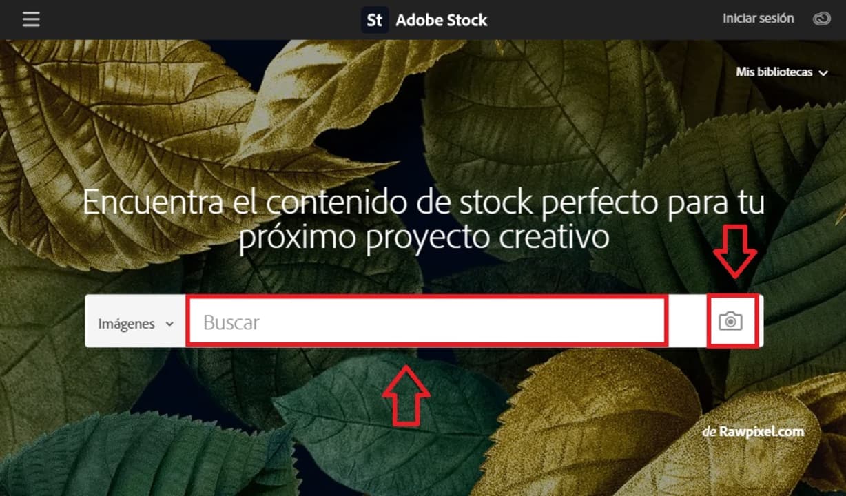 Buscar contenido en Adobe Stock