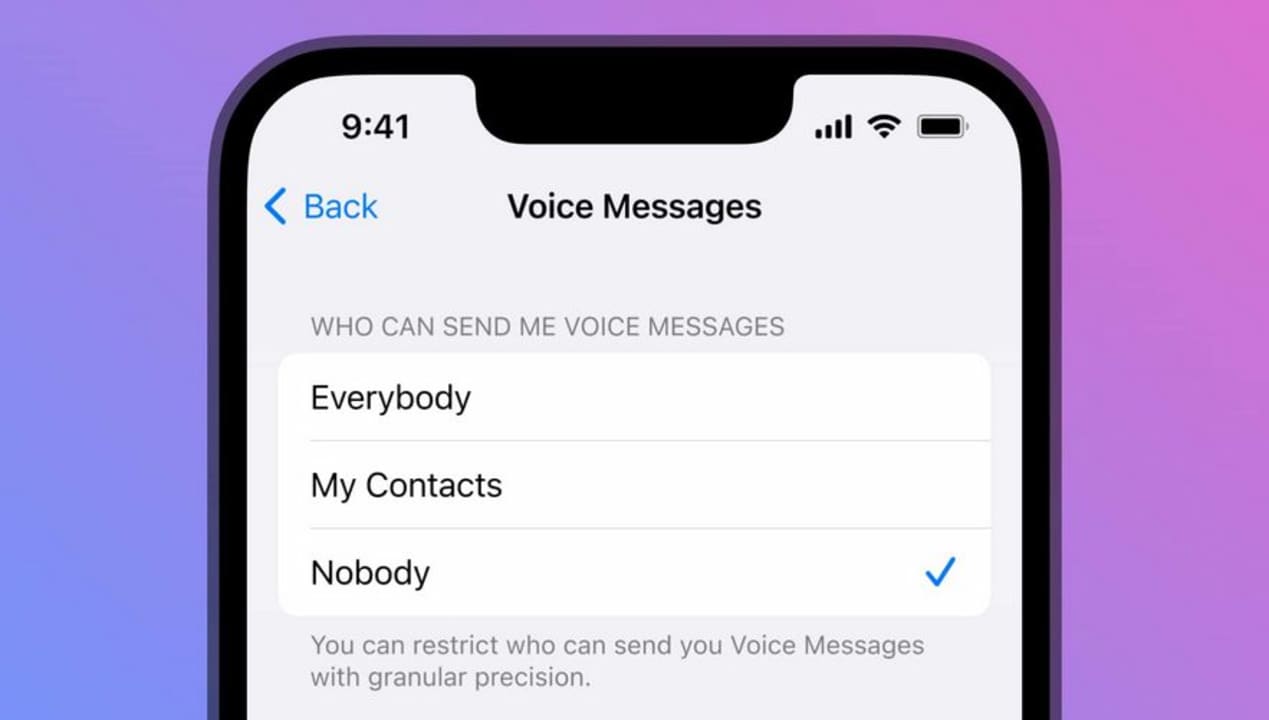 control recepcion mensajes voz Telegram