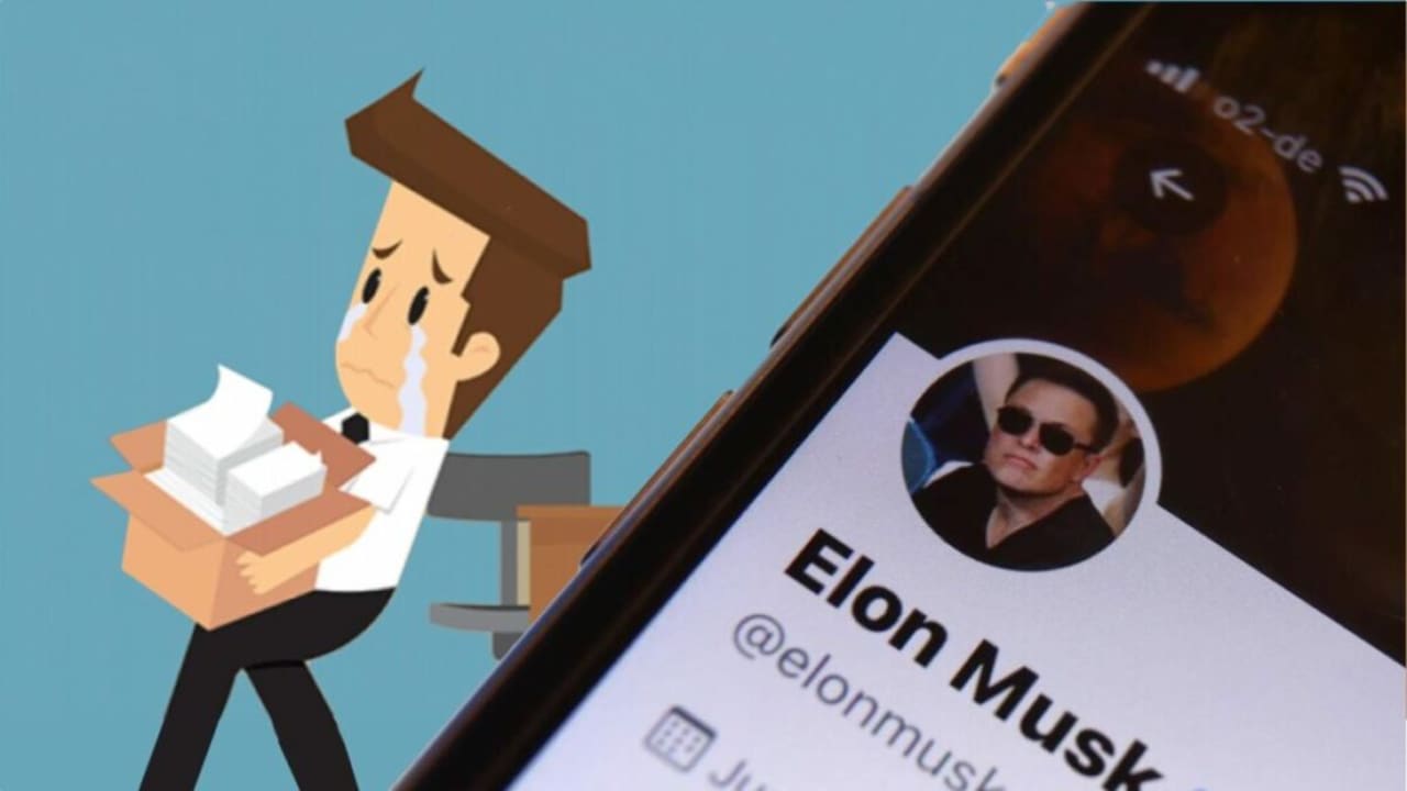 Elon Musk despide a la mitad de la plantilla de Twitter