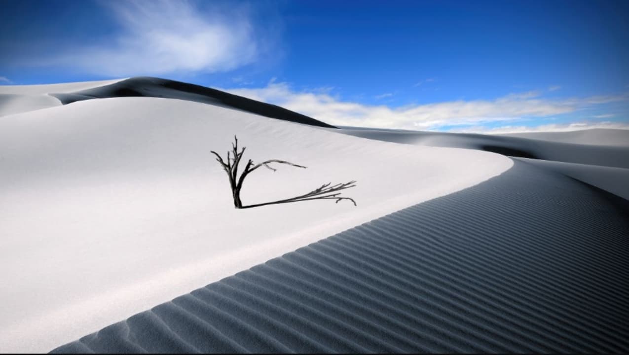 La imagen tiene un atributo ALT vacío; su nombre de archivo es fondo-paisaje-dunas.jpg