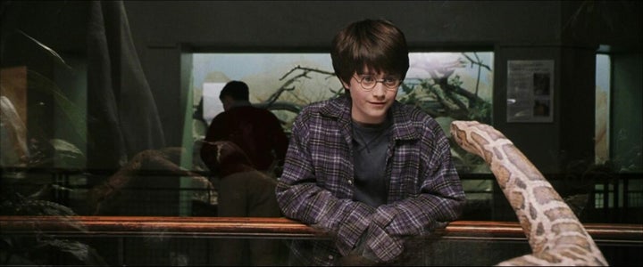 3. *Por qué Harry puede hablar pársel? 