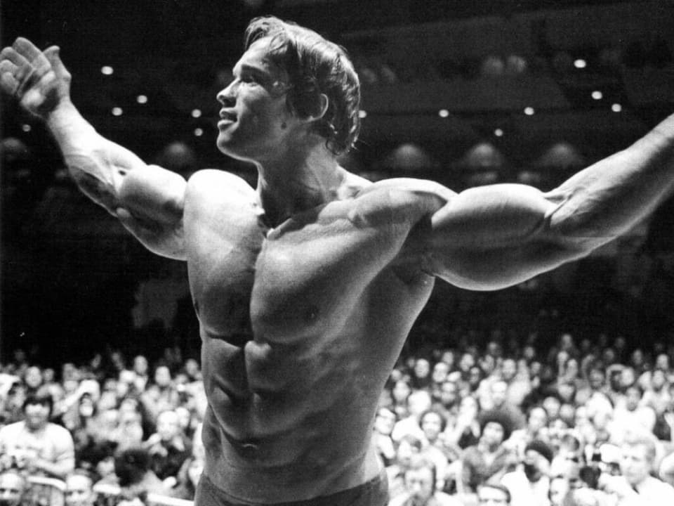 Arnold Schwarzenegger al descubierto: las anécdotas que nunca había  desvelado hasta ahora - Softonic