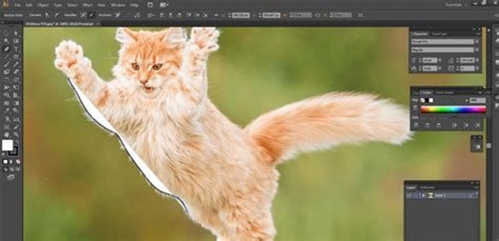 how to remove background in illustrator