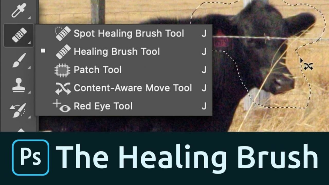 To access the Photoshop Spot Healing Tool, click the band-aid icon beneath the Eyedropper