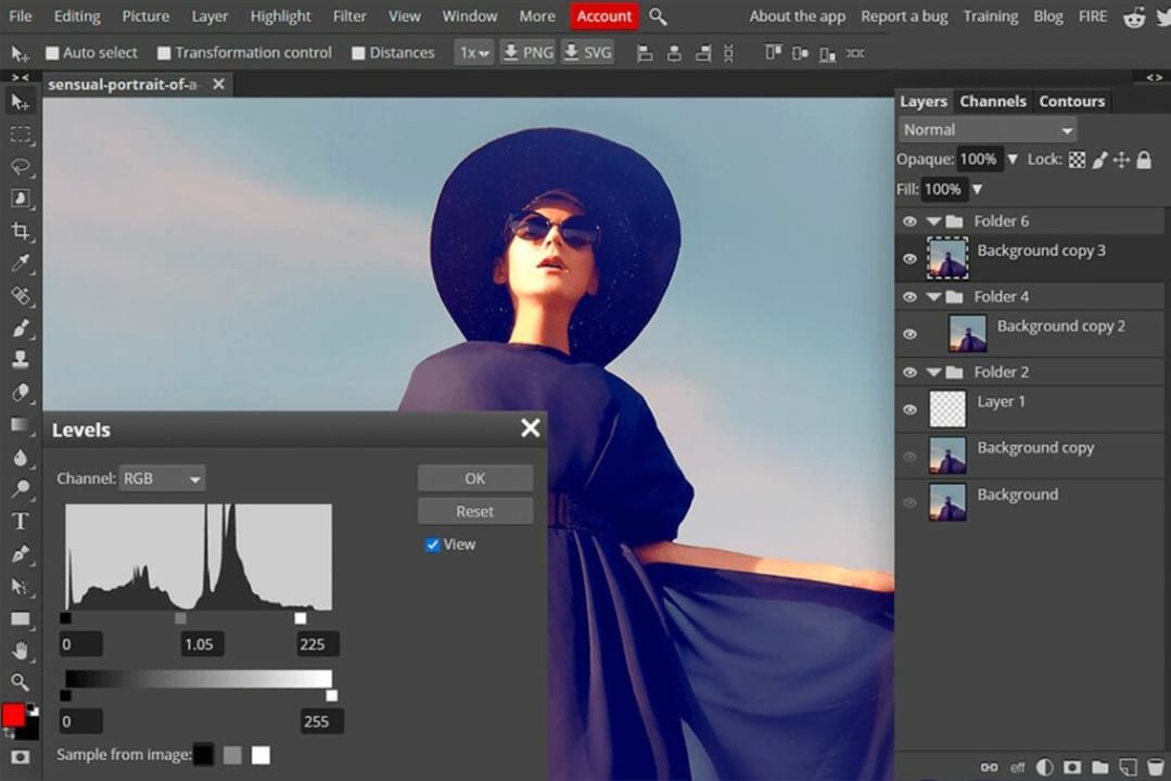 Photopea is an advanced online image editor for macOS that works with both raster and vector graphics