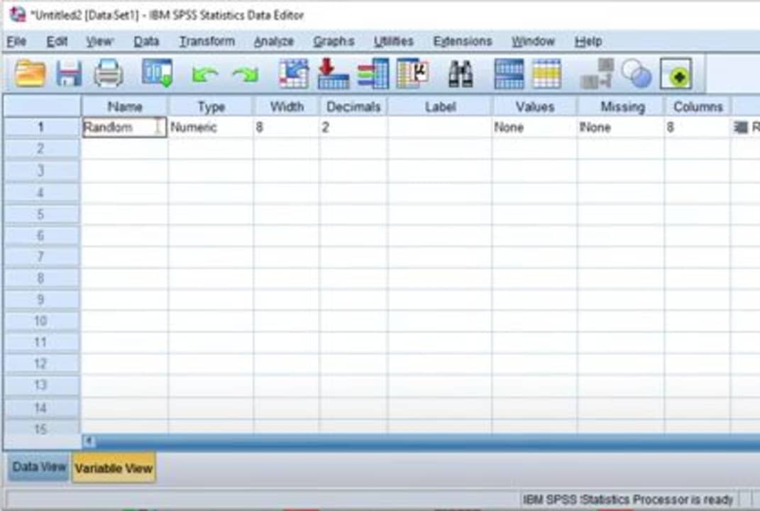 How to use SPSS for Mac